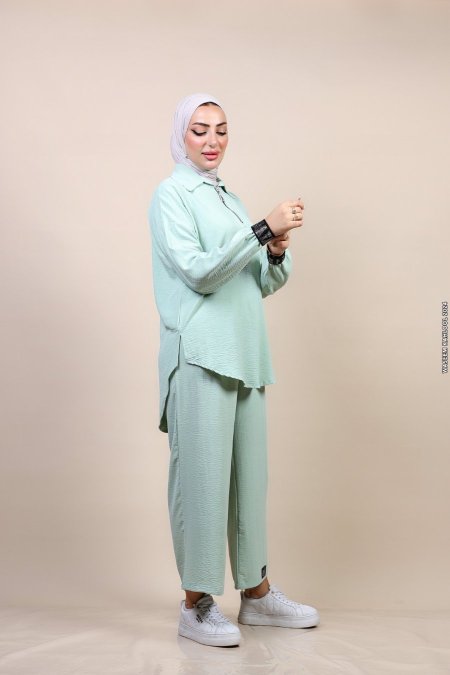 فيروزي
